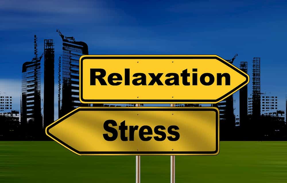 teacher wellbeing coaching reduce stress and workload